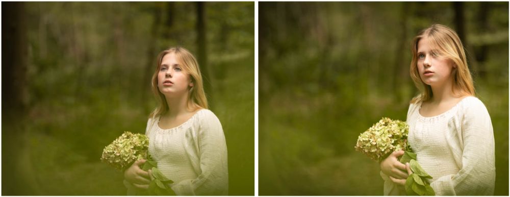 fotografie hattem collage particulier website 3